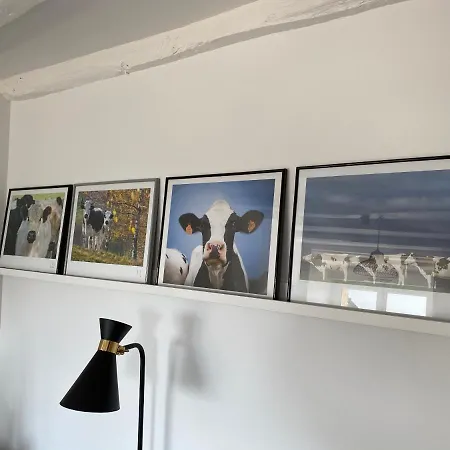 Du Petit Rocher Suzanne *