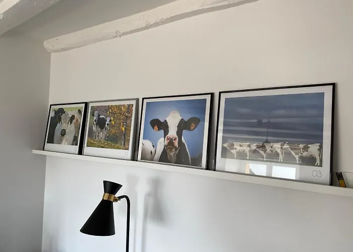 Du Petit Rocher Suzanne *